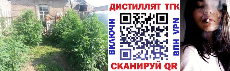 ТГК вейп с тгк  наркотики  Ясногорск 