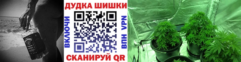 Шишки марихуана гибрид  где продают наркотики  Ясногорск 